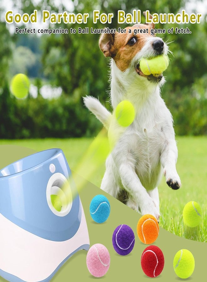 Magicorange 6 Pack Small Tennis Balls, 2 inch Tennis Balls for Dogs,Colorful Easy Catching Pet Playing Ball (Multicolor, 6 Pack) - Image 5