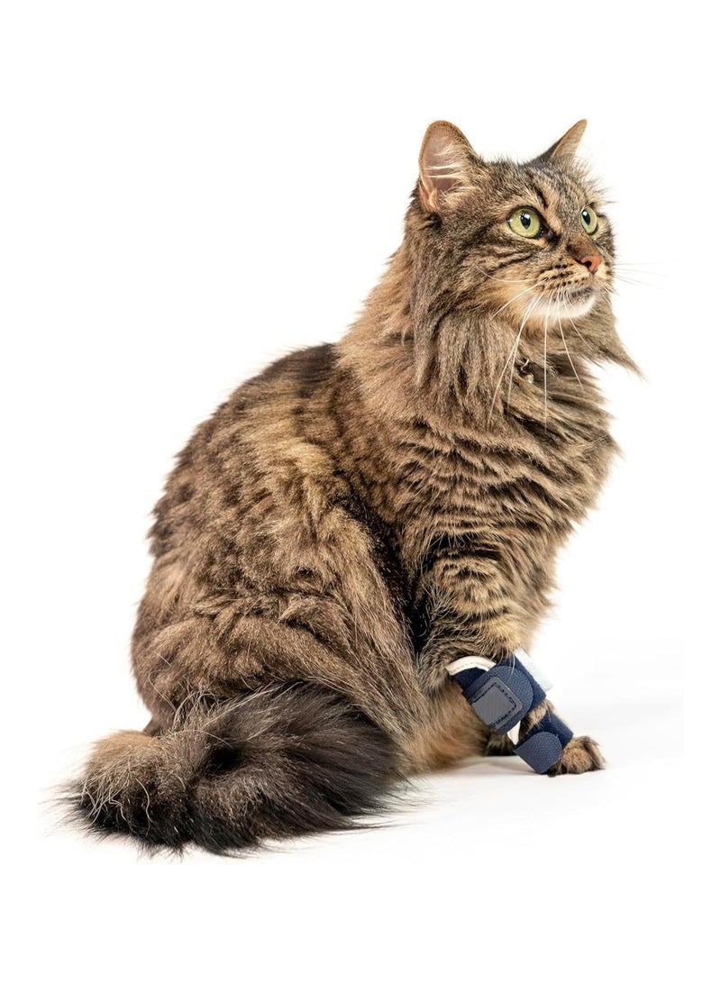 general Pet Protector Cat Hind Leg Injury Assist Belt Cat Leg Protector Joint Ligament Tear Rehabilitation Belt - Image 2