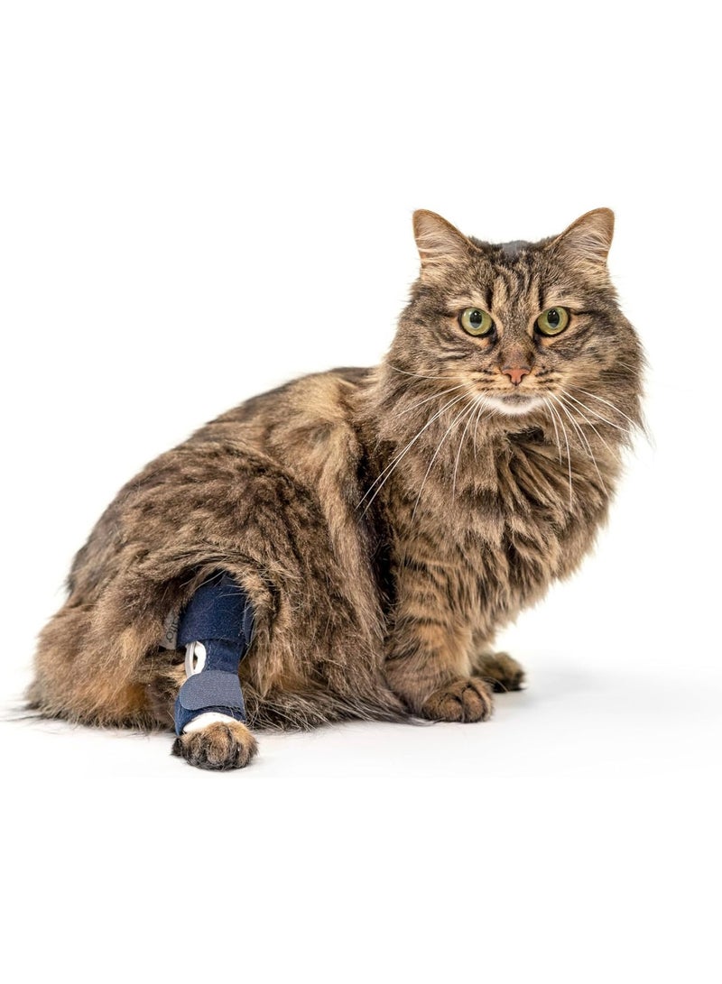 general Pet Protector Cat Hind Leg Injury Assist Belt Cat Leg Protector Joint Ligament Tear Rehabilitation Belt - Image 1