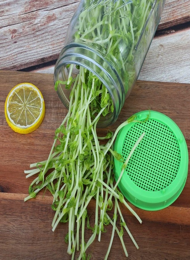 Amytalk 12 Pack Plastic Sprouting Lids for 86mm Wide Mouth Mason Jars, Sprouting Strainer Lid for Canning Jars, Suit for Grow Bean Sprouts, Alfalfa, Salad Sprouts etc - Image 5