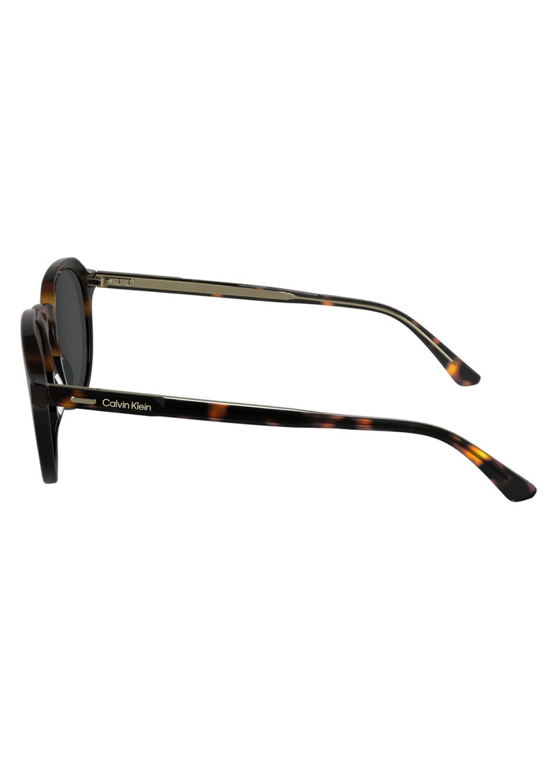 CALVIN KLEIN FULL RIM ACETATE ACETATE CALVIN KLEIN SUN CK24538S 5120 (233) HAVANA/BLACK  - Image 4