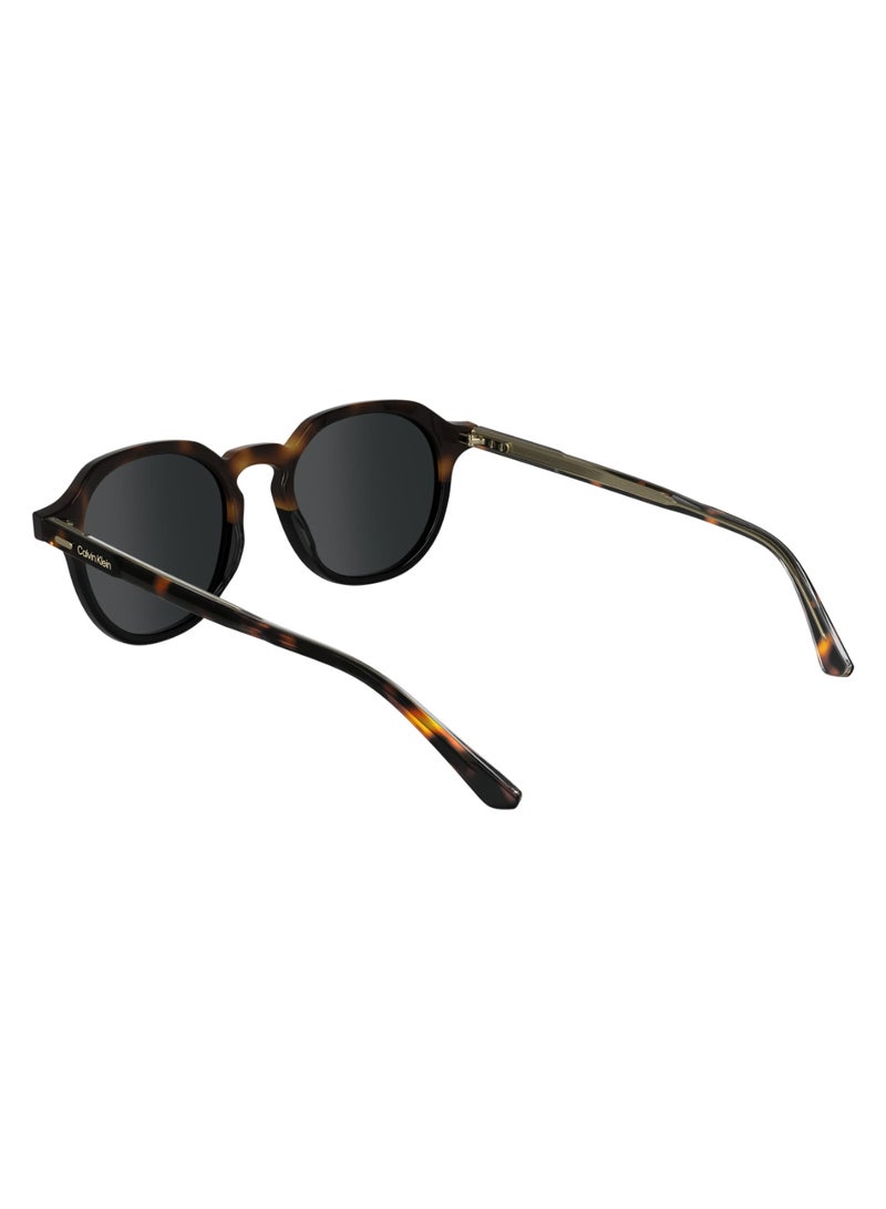 CALVIN KLEIN FULL RIM ACETATE ACETATE CALVIN KLEIN SUN CK24538S 5120 (233) HAVANA/BLACK  - Image 5