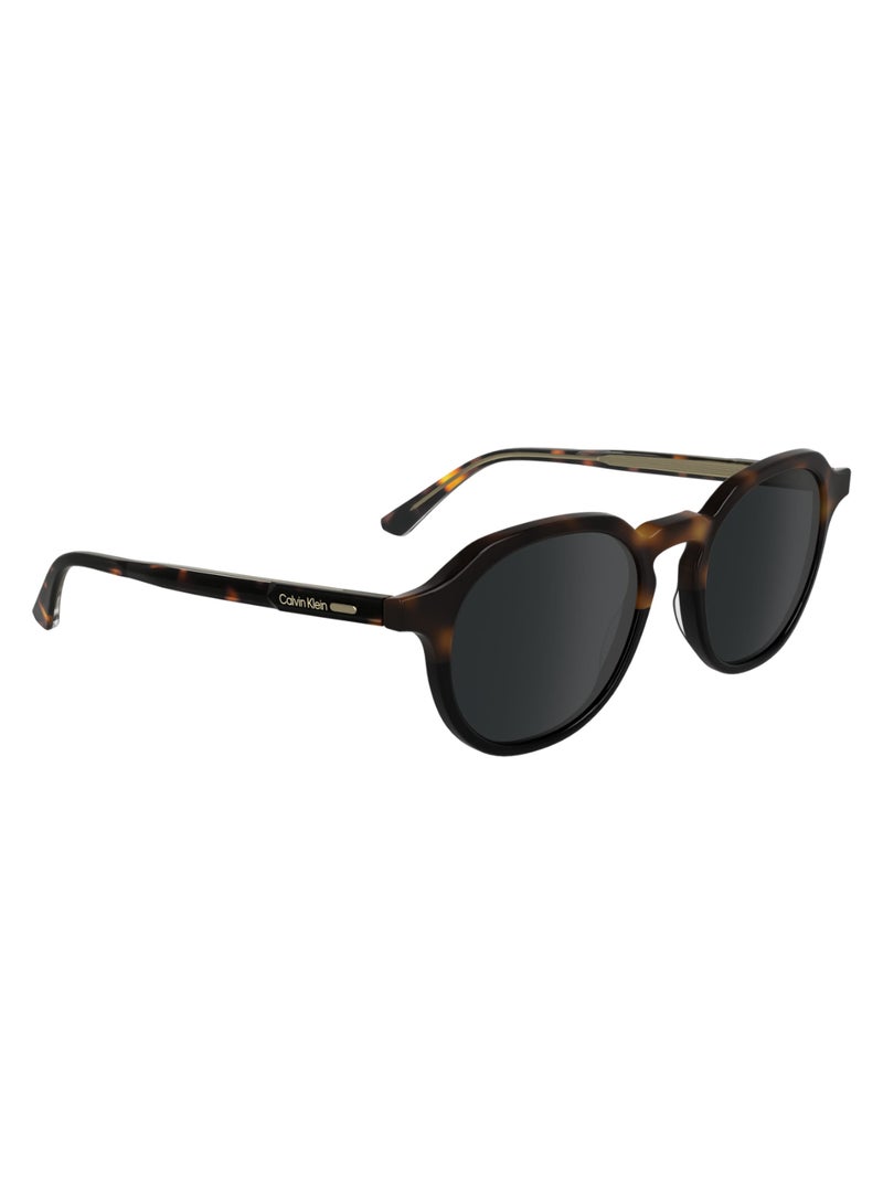 CALVIN KLEIN FULL RIM ACETATE ACETATE CALVIN KLEIN SUN CK24538S 5120 (233) HAVANA/BLACK  - Image 3