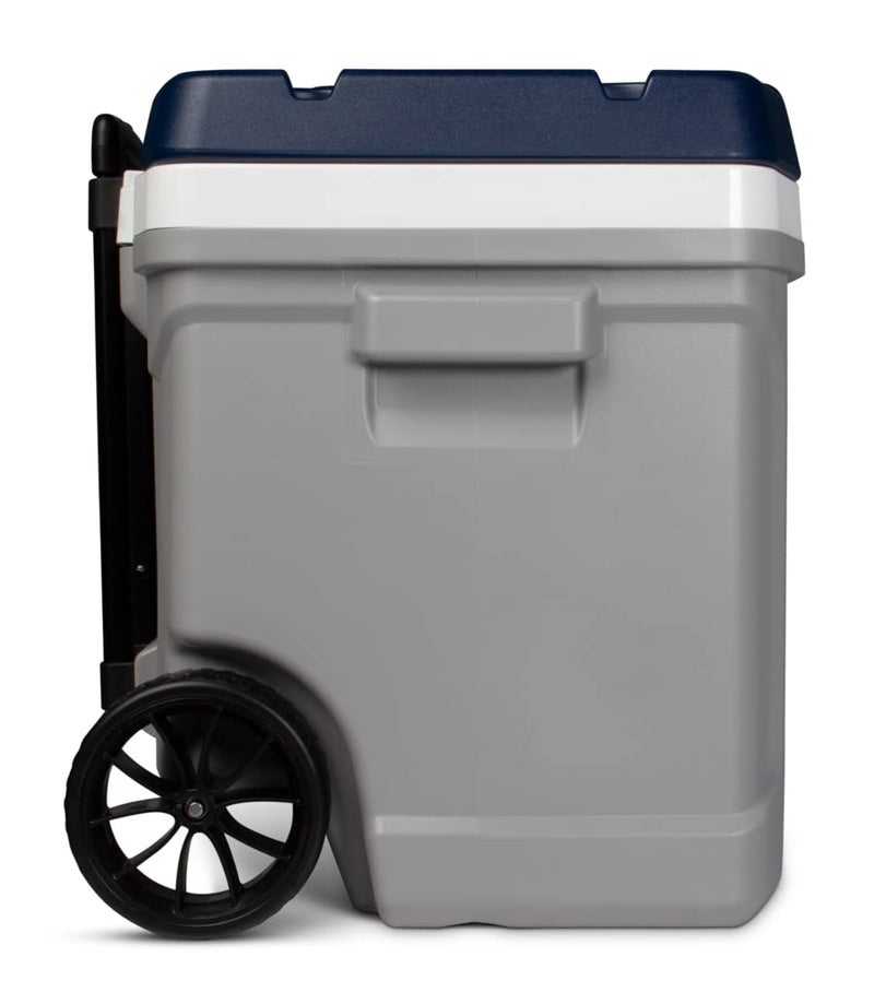 Igloo Maxcold 40-100 Qt Commercially Insulated Coolers - Image 5