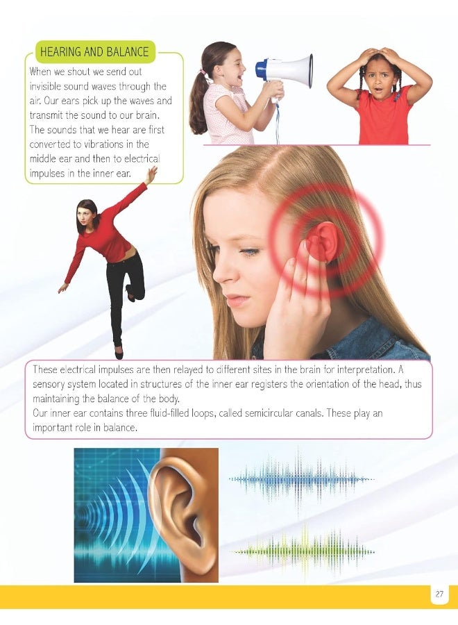 موسوعة جسم الإنسان المصغرة، لجميع الفئات العمرية - Image 5