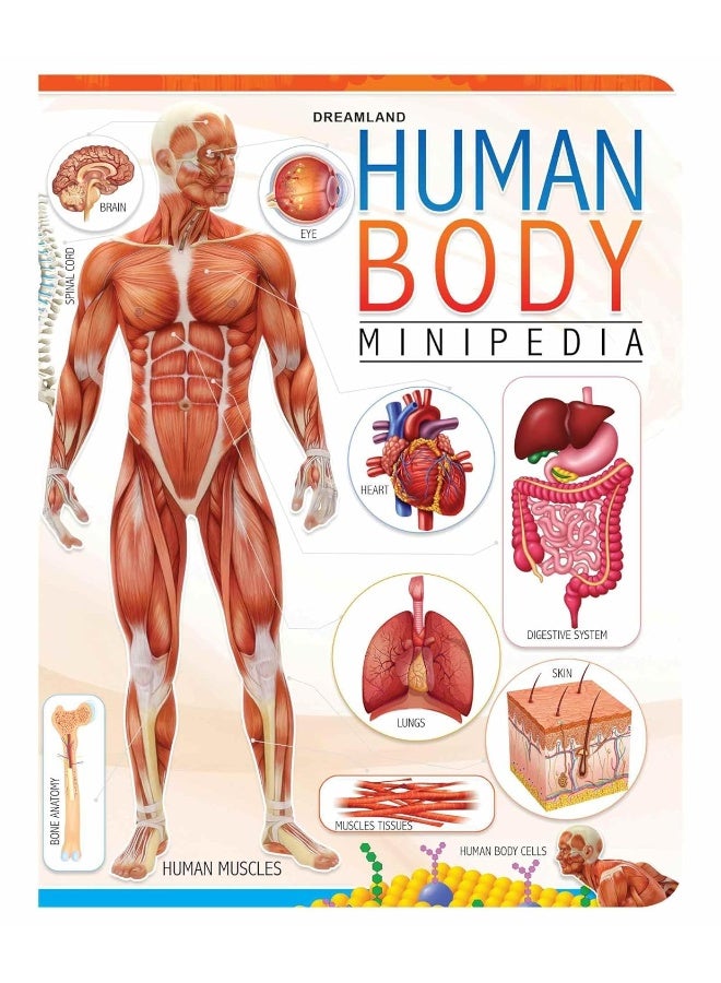 موسوعة جسم الإنسان المصغرة، لجميع الفئات العمرية - Image 1