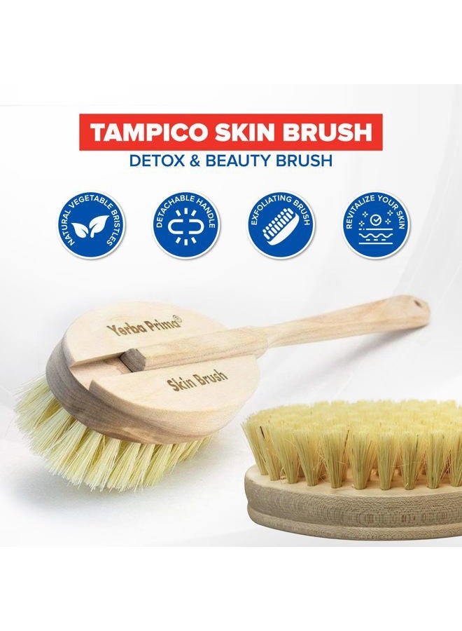 Yerba Prima Tampico Skin Brush (Pack of 2) - Natural Vegetable Fiber Bristles for Dry Skin Brushing - Image 4