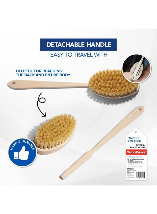 Yerba Prima Tampico Skin Brush (Pack of 2) - Natural Vegetable Fiber Bristles for Dry Skin Brushing - Image 3