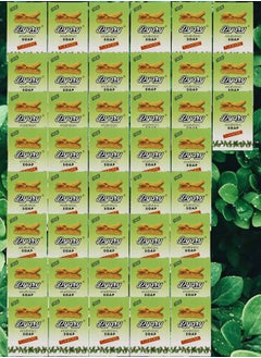 Pyary 43 Pieces Turmeric Soap All Natural Hand Crafted Vegan Ayurvedic 