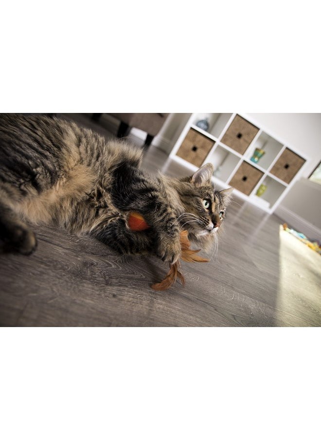SmartyKat - SmartyKat (2 Count) Flutter Balls Feather Cat Toys - Multi Color, 2 Count - Image 1