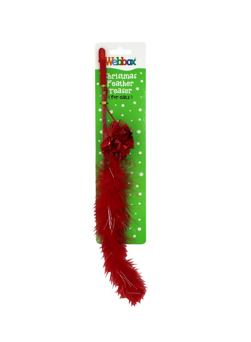 Webbox Festive - Christmas Feather Teaser Red