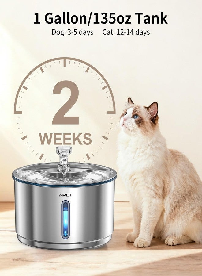NPET Stainless Steel Cat Water Fountain, 1Gallon/135oz Automatic Pet Drinking Fountain Dog Water Dispenser with 3 Replacement Filters for Cats Indoor - Image 2