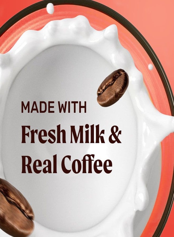Sleepy Owl Classic Cold Coffee | 230mL x 4 Cans | Thicker, Bolder, Creamier | Made With Real Milk & Coffee | No Preservatives - Image 2