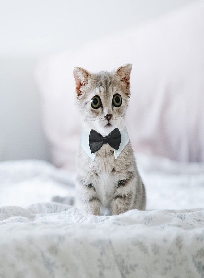 Koolmox Cat Tuxedo, KOOLMOX Black Cat Bow Tie Sewed with Handcrafted Adjustable White Collar for Formal Pet, Male Cat Collar for Small Puppy Boy Dog Collars Cats Wedding Outfit Birthday Gift Dog Bows - Image 4