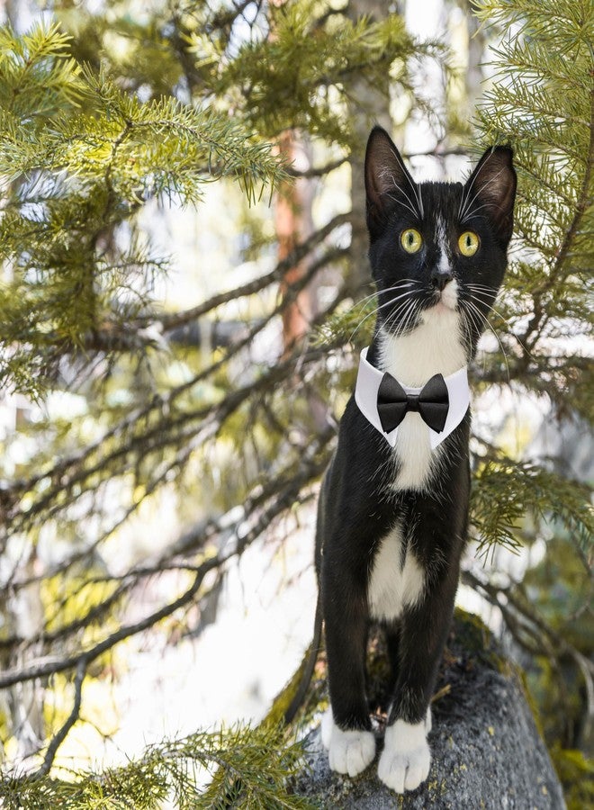 Koolmox Cat Tuxedo, KOOLMOX Black Cat Bow Tie Sewed with Handcrafted Adjustable White Collar for Formal Pet, Male Cat Collar for Small Puppy Boy Dog Collars Cats Wedding Outfit Birthday Gift Dog Bows - Image 5