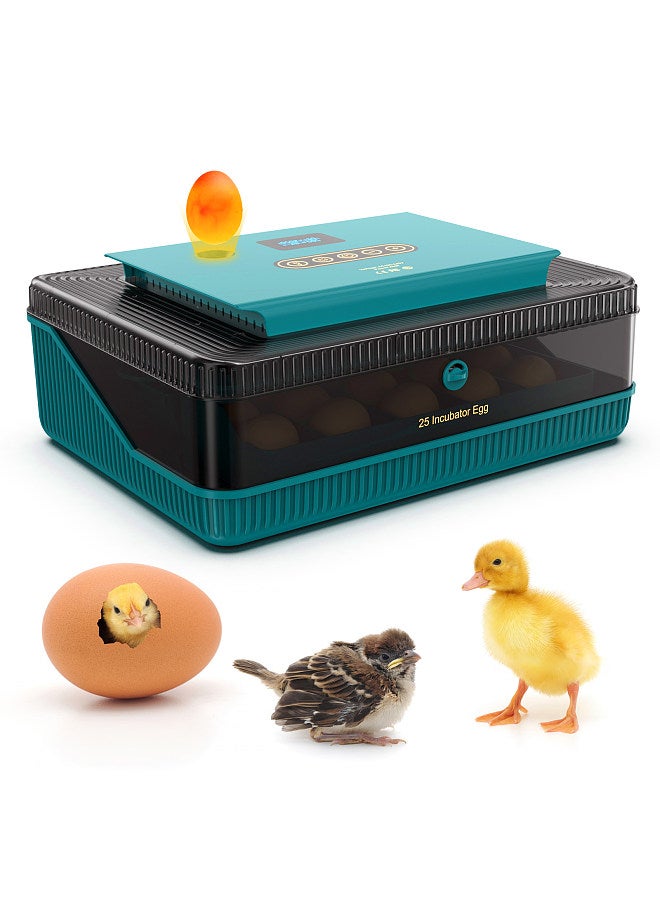 Generic حاضنات 25 بيضة لتفقيس البيض مع جهاز تقليب البيض الأوتوماتيكي مع شاشة عرض درجة الحرارة والرطوبة وجهاز اختبار شمعة البيض LED وحاضنات لبيض الدجاج والبط والسمان والأوز والحمام - Image 1