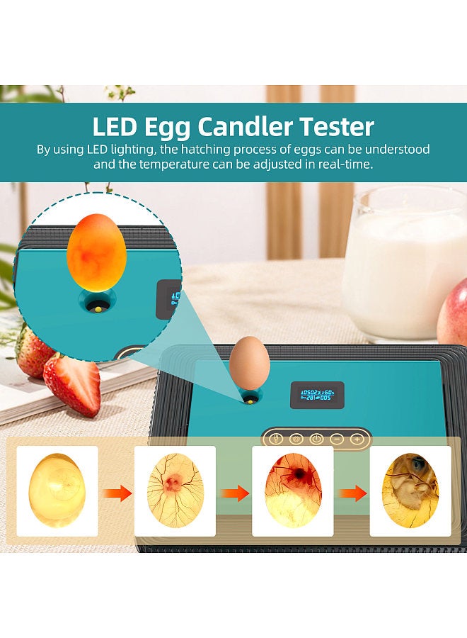 Generic حاضنات 25 بيضة لتفقيس البيض مع جهاز تقليب البيض الأوتوماتيكي مع شاشة عرض درجة الحرارة والرطوبة وجهاز اختبار شمعة البيض LED وحاضنات لبيض الدجاج والبط والسمان والأوز والحمام - Image 2