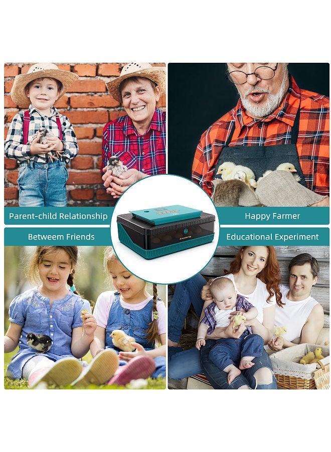 Generic حاضنات 25 بيضة لتفقيس البيض مع جهاز تقليب البيض الأوتوماتيكي مع شاشة عرض درجة الحرارة والرطوبة وجهاز اختبار شمعة البيض LED وحاضنات لبيض الدجاج والبط والسمان والأوز والحمام - Image 4