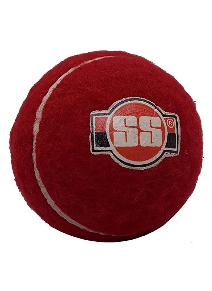 SS Soft Pro Tennis Cricket Ball Red - pzsku/ZEEFAB49D39E163EB7732Z/45/_/1655908111/74bf20a0-9256-4fd0-9131-b9bba1671ed7