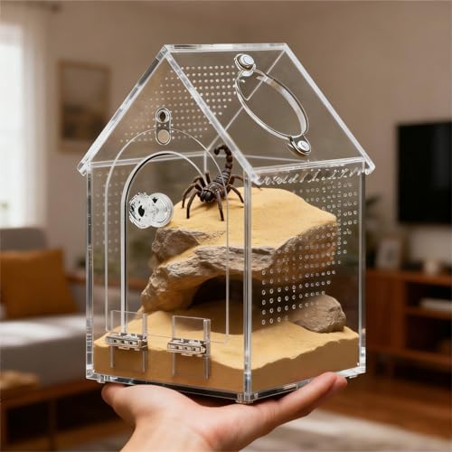 WQLLWFC Jumping Spider Enclosure Kit，Pre-Assembled 8 * 5 * 5in Acrylic Tarantula Terrarium，Reptile Ventilated Habitat Accessories for Spider, Mantis, Snail, Frog, Hermit Crabs & Small Pets - Image 4