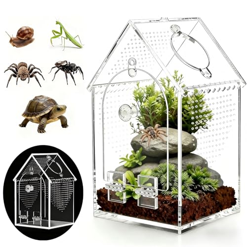 WQLLWFC Jumping Spider Enclosure Kit，Pre-Assembled 8 * 5 * 5in Acrylic Tarantula Terrarium，Reptile Ventilated Habitat Accessories for Spider, Mantis, Snail, Frog, Hermit Crabs & Small Pets - Image 1