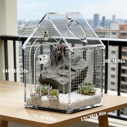 WQLLWFC Jumping Spider Enclosure Kit，Pre-Assembled 8 * 5 * 5in Acrylic Tarantula Terrarium，Reptile Ventilated Habitat Accessories for Spider, Mantis, Snail, Frog, Hermit Crabs & Small Pets - Image 2