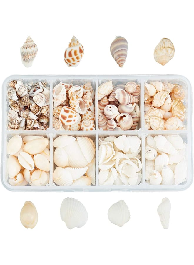 244PCS 8 Styles Natural Conch Shell Beads with Mixed Color No Hole Mixed Ocean Spiral Conch Seashells Charms Beads Natural Cowrie Shell Beads for Decorations Arts Crafts  - Image 1