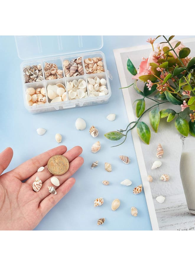 244PCS 8 Styles Natural Conch Shell Beads with Mixed Color No Hole Mixed Ocean Spiral Conch Seashells Charms Beads Natural Cowrie Shell Beads for Decorations Arts Crafts  - Image 3