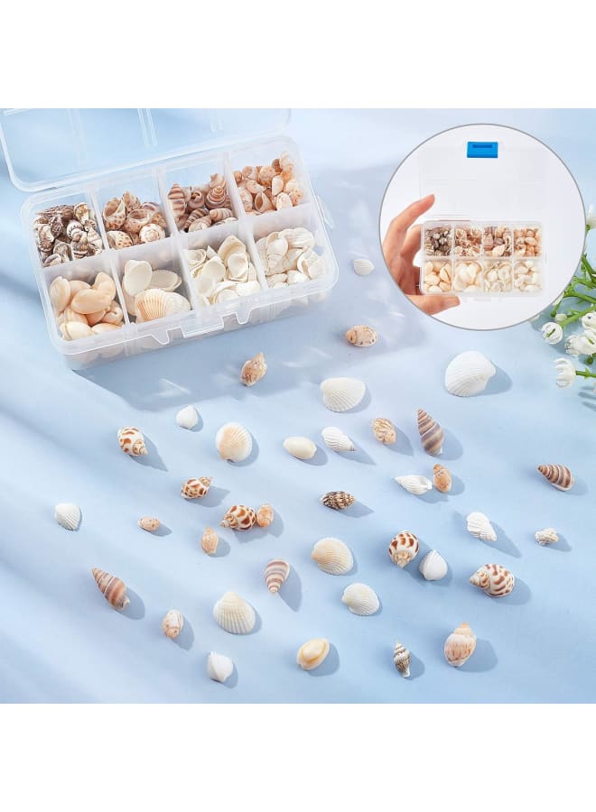 244PCS 8 Styles Natural Conch Shell Beads with Mixed Color No Hole Mixed Ocean Spiral Conch Seashells Charms Beads Natural Cowrie Shell Beads for Decorations Arts Crafts  - Image 5