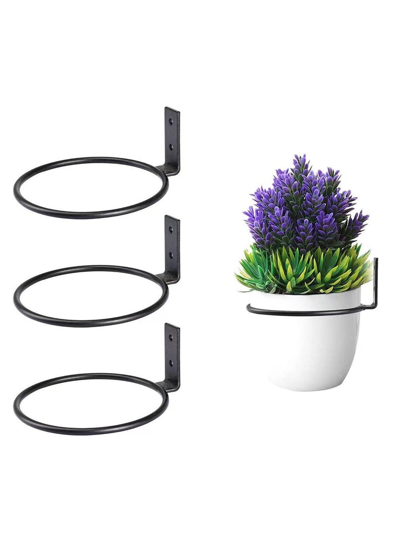 حامل أصيص نباتات معدني معلق على الحائط، شماعة نباتات حديدية معلقة على الحائط، حاملات أواني زهور فنية للخارج 4 بوصة، طقم من 3 - Image 2