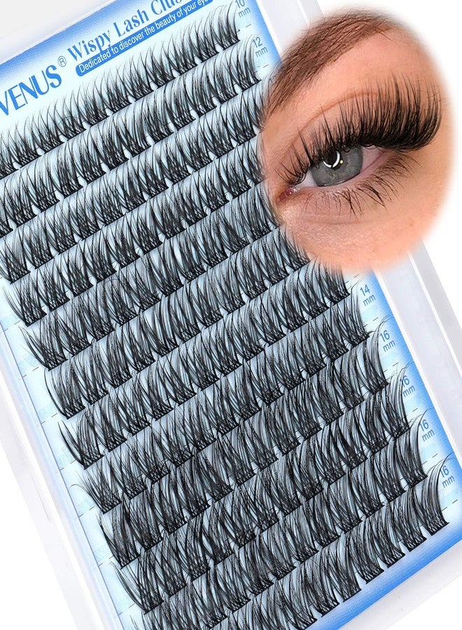 Goddvenus Wispy Lash Clusters Natural Lashes Clusters Wispy Eyelash Clusters CD Curl Cluster Eyelash Extensions DIY Individual Lashes Invisible Band Lash Extension Fluffy Eyelashes Clusters - Image 1