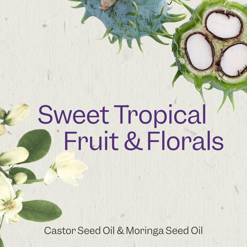 Renpure Castor Oil & Moringa Curl Enhancing Conditioner - For Moisturized, Detangled & Frizz-Free Curls - With Castor Oil & Moringa Seed Oil - For Wavy to Curly Hair -24 Fl Oz - Image 3