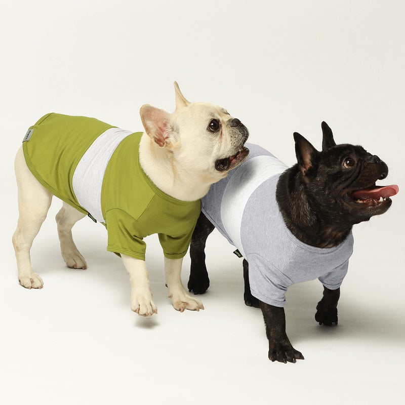 Fitwarm 3 Pack Color Block Striped Dog Shirt, Summer Dog Clothes for Small Dogs, Breathable Lightweight Pet Tshirt with Sleeves, Cat Outfit, Oliver Green, Grey, Black, XXL - Image 3