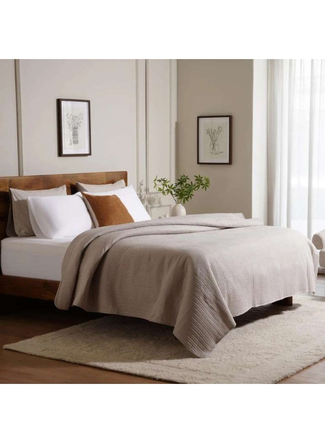 Pan Home غطاء سرير مخملي من يوكاليبتوس 220X240 سم - رمادي بخاري - Image 1