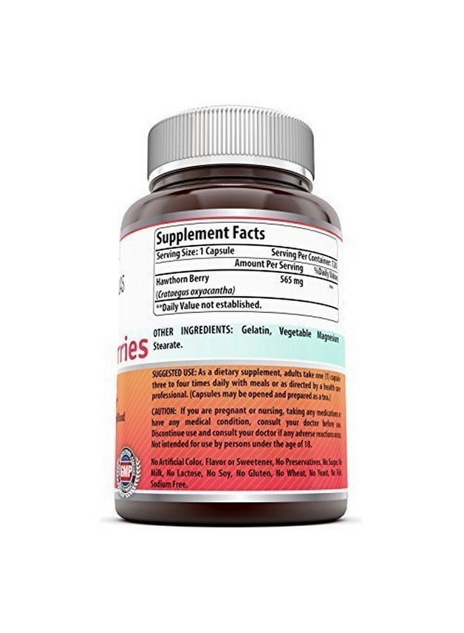 Amazing Nutrition مكمل توت الزعرور من Amazing Formulas | 565 ملغ لكل حصة | 120 كبسولة | خالي من الكائنات المعدلة وراثيًا | خالي من الغلوتين | صنع في الولايات المتحدة - Image 4