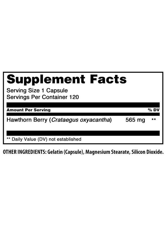 Amazing Nutrition مكمل توت الزعرور من Amazing Formulas | 565 ملغ لكل حصة | 120 كبسولة | خالي من الكائنات المعدلة وراثيًا | خالي من الغلوتين | صنع في الولايات المتحدة - Image 5