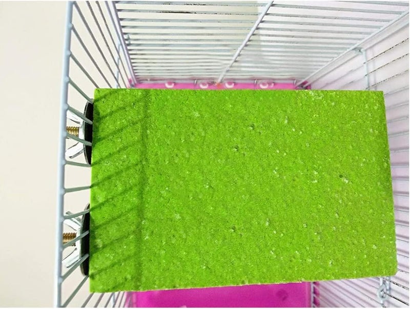 Litewoo Bird Perch Grinding Stand for Bird Parrot Budgie Parakeet Cockatiel Conure Lovebird Finch（5.1" x 3.5"） - Image 4