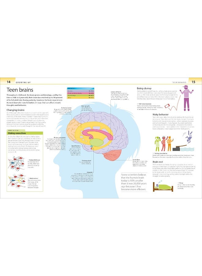Growing Up A Teenagers And Parents Guide To Puberty And Adolescence  - Image 3