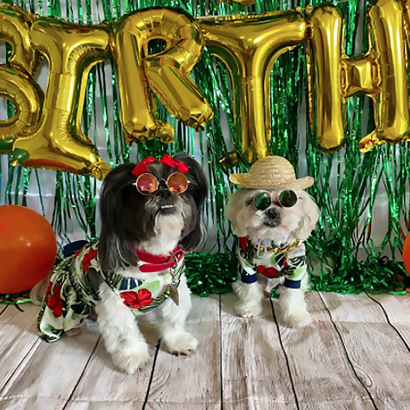 Weewooday 6 Pieces Dog Cat Costume, Pet Sunglasses and Summer Straw Hat with Faux Gold Chain Collar, Classic Funny Pet Accessories for Cat Puppy Small Medium Dog(Cute Style) - Image 4