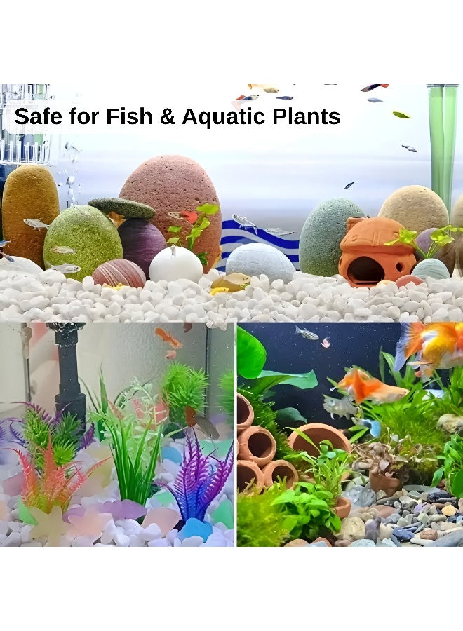 أرابيكو 2.5 رطل من صخور النهر الطبيعية البيضاء، أحجار زخرفية بقياس 1-2 بوصة للنباتات، وتنسيق الحدائق، والمزهريات، وأحواض السمك، والحرف اليدوية، وديكور المنزل، وحصى بيضاء ناعمة للاستخدام الداخلي والخارجي - Image 2