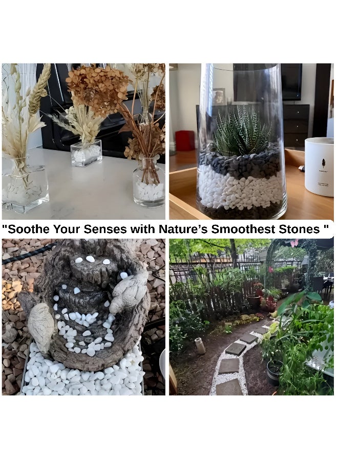 أرابيكو 2.5 رطل من صخور النهر الطبيعية البيضاء، أحجار زخرفية بقياس 1-2 بوصة للنباتات، وتنسيق الحدائق، والمزهريات، وأحواض السمك، والحرف اليدوية، وديكور المنزل، وحصى بيضاء ناعمة للاستخدام الداخلي والخارجي - Image 5