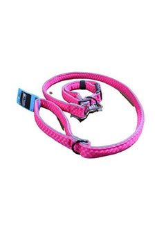 Dog Collar Leash Ribbon - pzsku/ZEF049F795406F118496FZ/45/_/1728309320/c932ee5e-7bfd-4b89-af2c-1fa903bc5f48