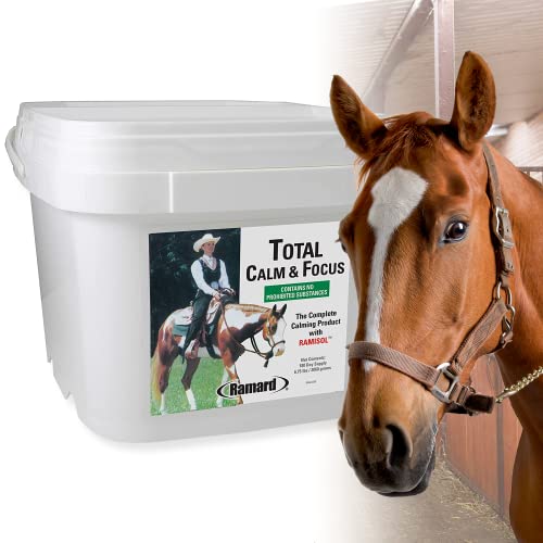 Ramard Total Calm and Focus for Horses Supplement - Magnesium & Calming Formula for Horse Show, Training, & Performance Mental Alertness Without Drowsiness, Show Safe, Perfect Prep for Horses - Pail - Image 2