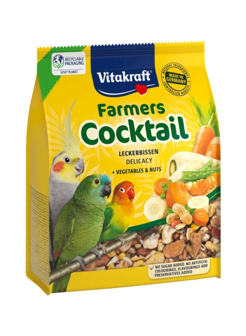 Vitakraft Bird Food with Vegetables & Nuts – Nutrient-Rich Natural Mix – Sugar & Preservative Free – 250g - German Made