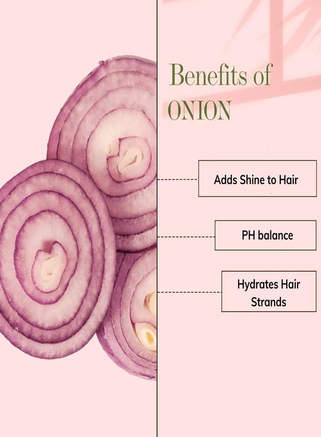 Phillauri Onion Oil Shampoo with Red Onion Seed Oil Extract | Black Seed Oil | Hair Shampoo | For Strong & Shiny Hair | shampoo For Oily Scalp | 750 ml (Pack 1) | - Image 4