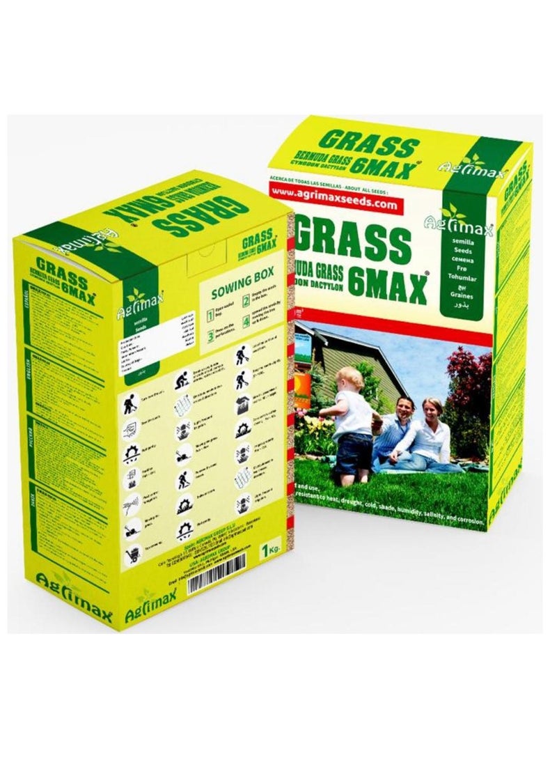 أجريماكس برمودا جراس 6 ماكس بذور "سينودون داكتيلون" 1 كجم من "Agrimaxgroup"