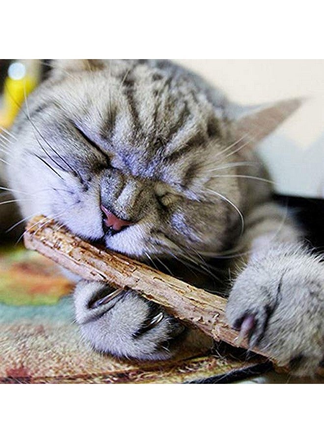 تريكسي أعواد مضغ ماتاتابي للقطط 10 جرام - Image 5