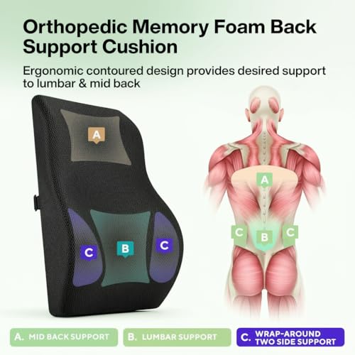 EASEFIT Back Support Cushion for Office Chair & Car | Premium Memory Foam Lumbar Support | 2 Year Warranty | Back Pain Relief, Posture Correction & Adjustable Strap | Breathable Mesh Cover | Made in India - Image 5