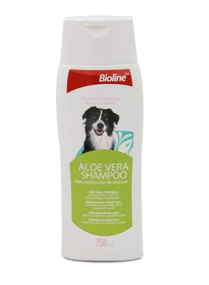 Bioline Aloe Vera Dog Shampoo 250ml - Image 1
