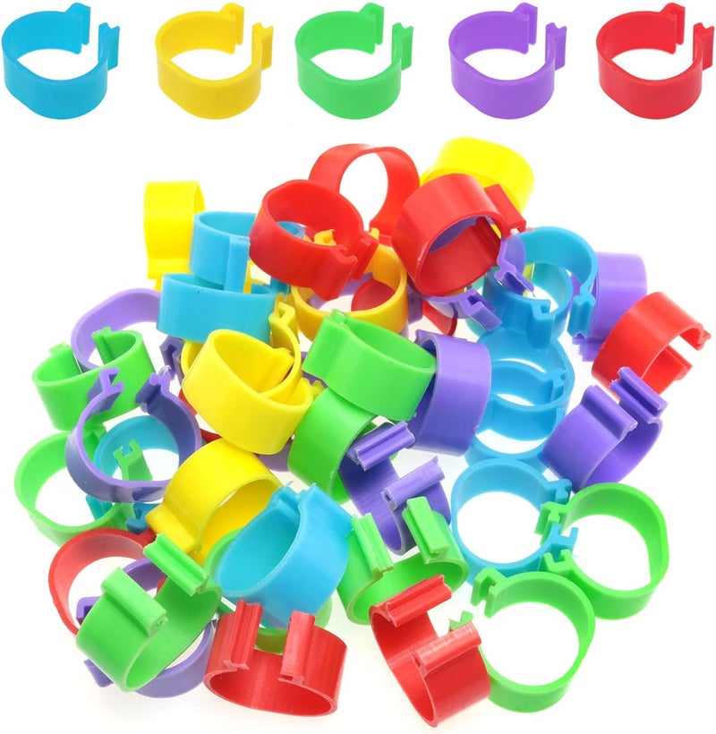 Mutai 16mm Chicken Identification Band 50PCS 16mm 5Color Plastic Poultry Chickens Ducks Leg Rings Clip-On Round Tags Poultry Identification Bands - Image 2